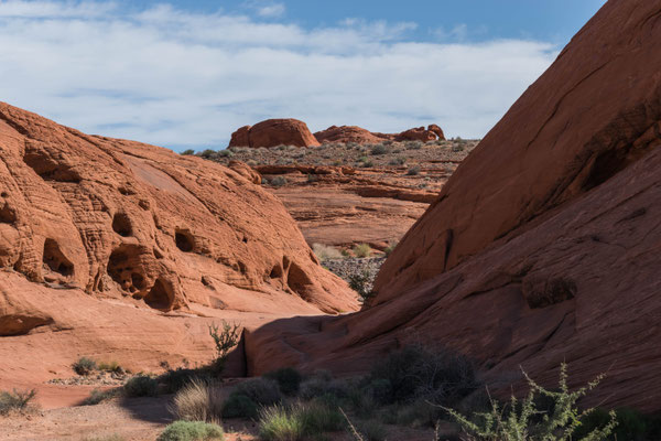 Landschaft im Valley of Fire.