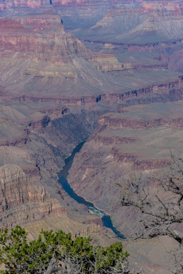 Entlang des Southern Rim Trail. Man sieht den Colorado River.