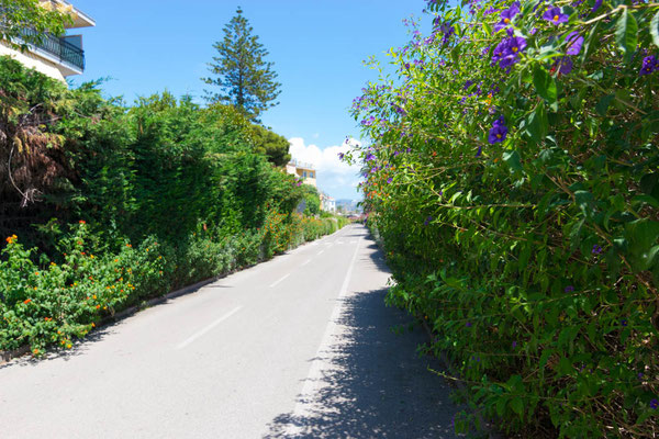 Die Strandpromenade.