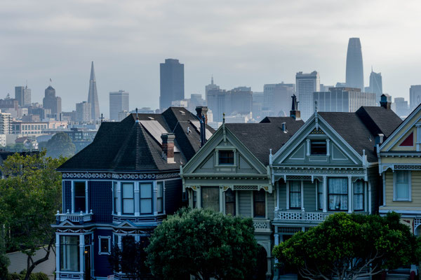 Die Painted Ladies.