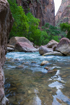 Der Virgin River.