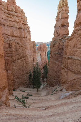 Auf dem Navajo Trail nach unten.