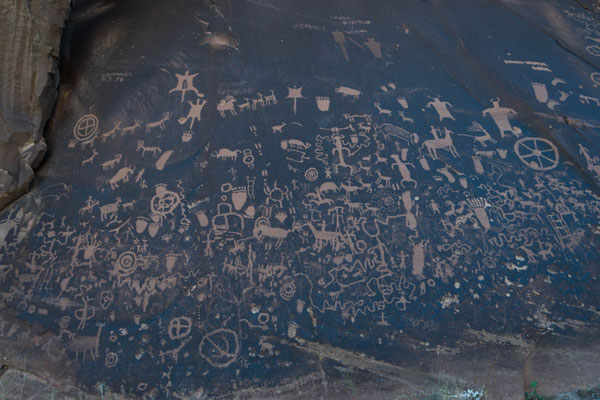 Petroglyphen am Newspaper Rock.