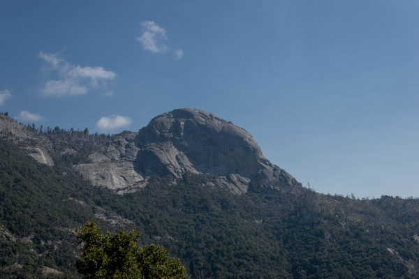 Ein letzter Blick auf den Moro Rock.
