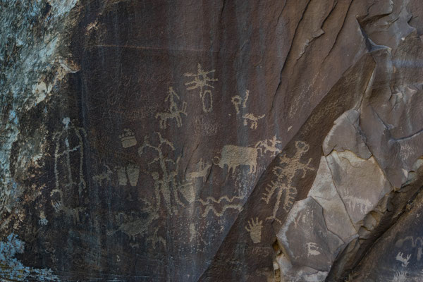 Petroglyphen am Newspaper Rock.