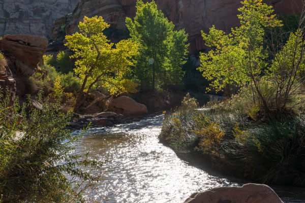 Der Fremont River.