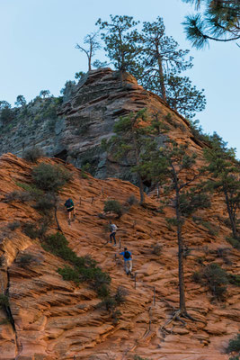 Der Aufstieg nach Angels Landing.