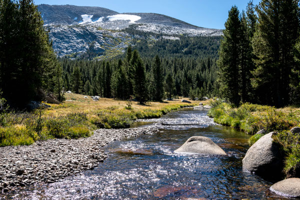 Ein Creek im Yosemite Park.