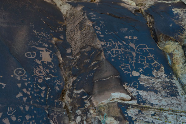 Petroglyphen am Newspaper Rock.