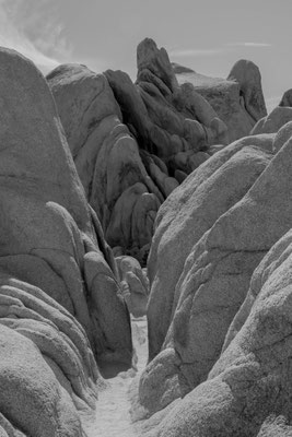 Im Joshua Tree Nationalpark.