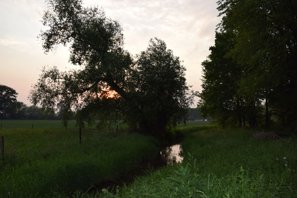 Der Malefinkbach zwischen Körrenzig und Rurich