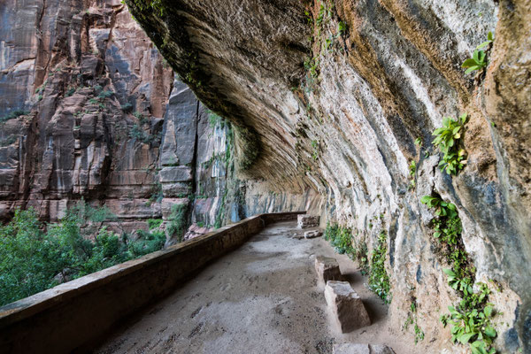 Der Weeping Rock.