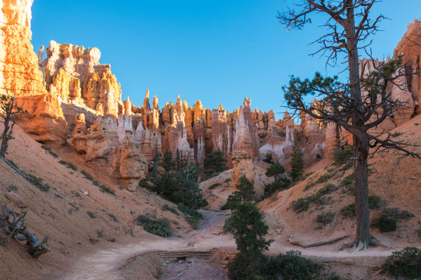 Irgendwo im Bryce Canyon.