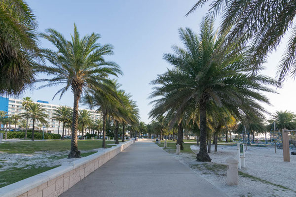 Kleiner Park an der Pier 60.