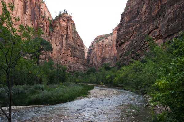 Erster Blick in den Zion Canyon.