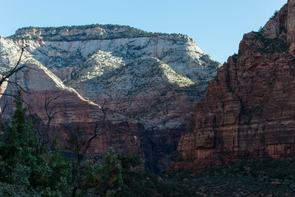 Zion Canyon Impression.