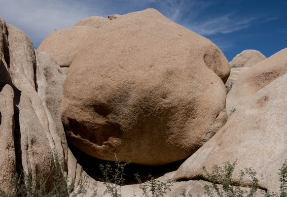 Im Joshua Tree Nationalpark.