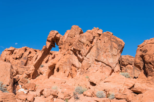 Der Elephant Rock.