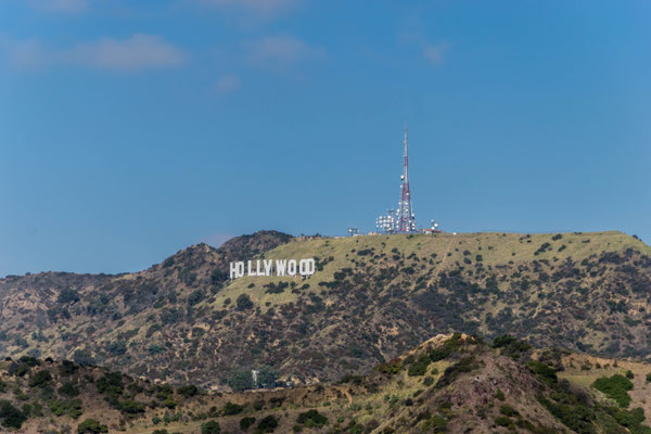 Der Hollywood Schriftzug.