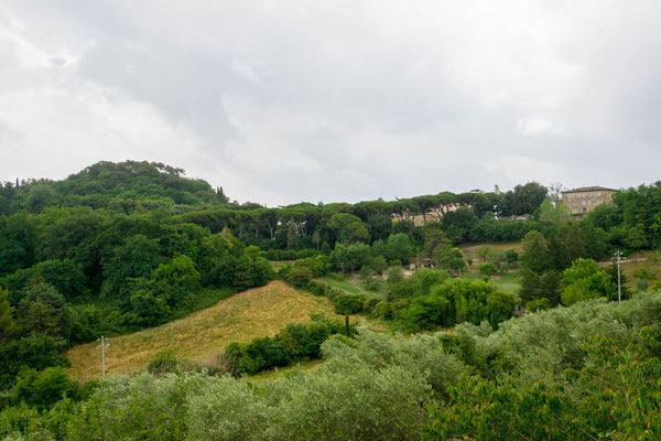 Die Umgebung von Volterra.