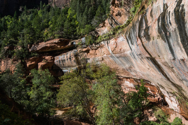 Zion Canyon Impression.