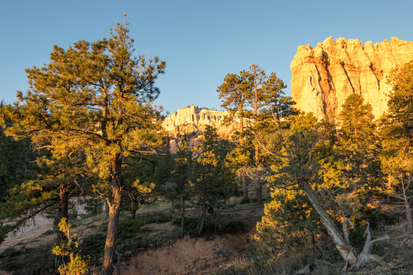 Irgendwo im Bryce Canyon.