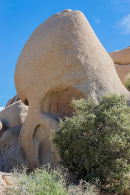 Der Skull Rock.