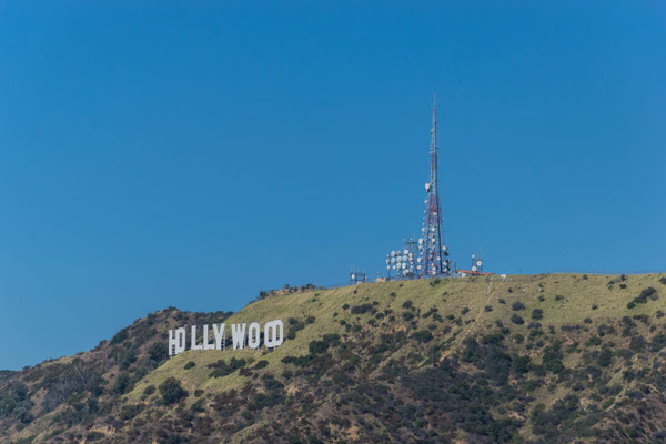 Der Hollywood Schriftzug.