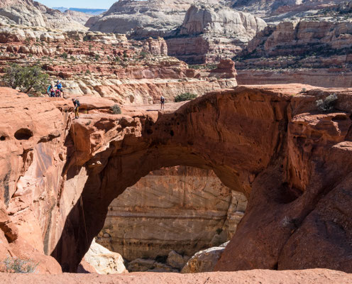 Der Cassidy Arch.