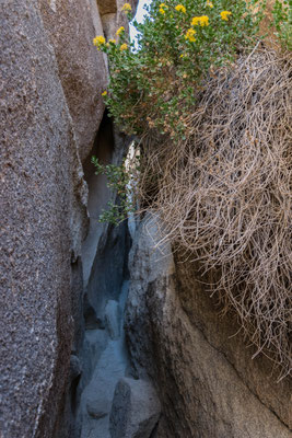 Slot Canyons, durch die man sich quetschen kann.
