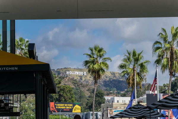 Das Hollywood Sign vom Hollywood Boulevard.