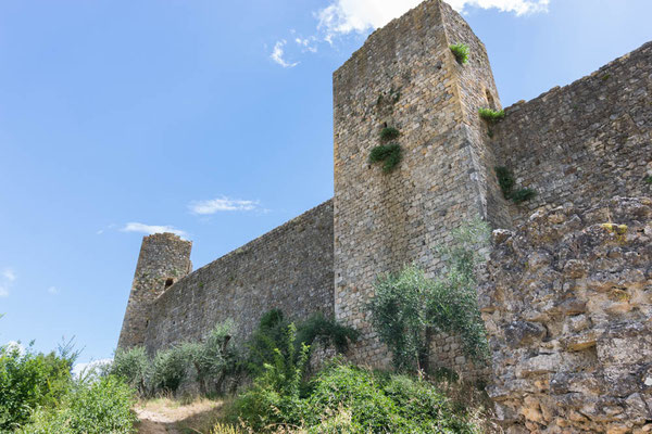 Die Stadtmauer.