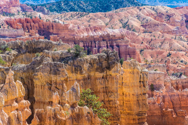 Irgendwo im Bryce Canyon.