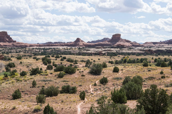 Auf den Wanderwegen in den Needles.