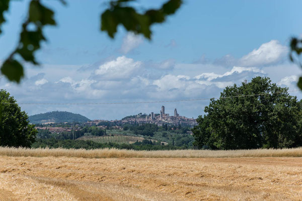 Die Skyline von San Gimignano,
