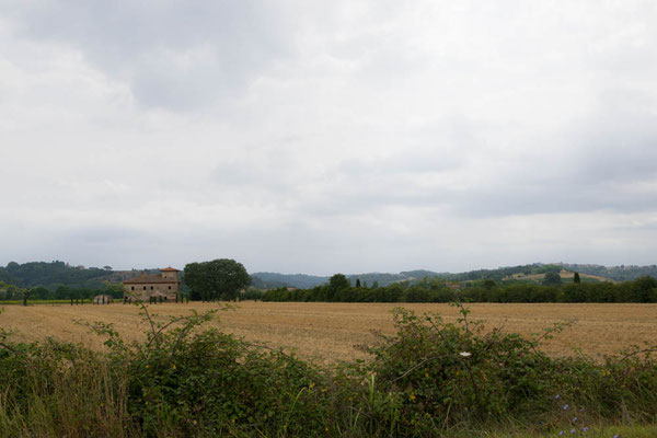 Die Landschaft der Toskana.
