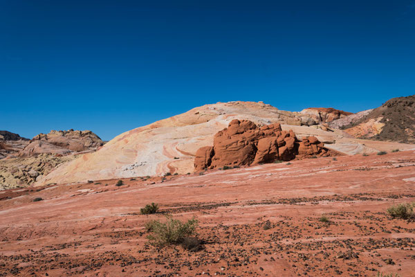 Landschaft im Valley of Fire.