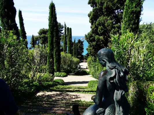 Blick von oben über den Garten