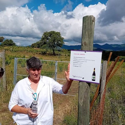 Bárbara weist auf ein Weinfeld mit einer bestimmten Weinsorte hin