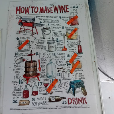 Plakat: So wird Wein hergestellt