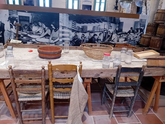 Auf einem solchen Tisch wurden Sardellen und Sardinen eingesalzen