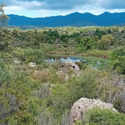 Kleiner Teich im Gelände. Im Hintergrund die Alberes-Kette