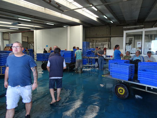 In diese Halle werden die Fischkisten gebracht