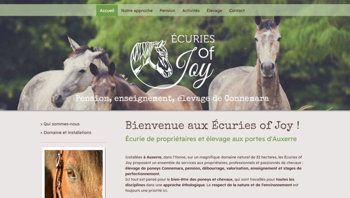 Création du site web des Ecuries Of Joy