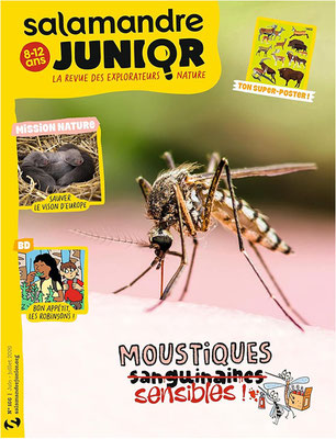 Salamandre Junior