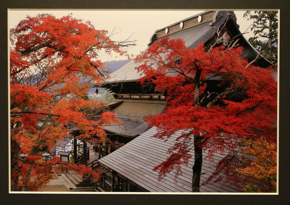 円蔵寺の秋景色　　阿部　和之