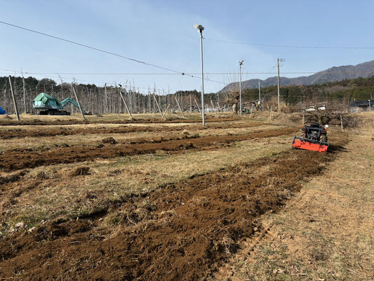 植え付け場所をトラクターで起こします