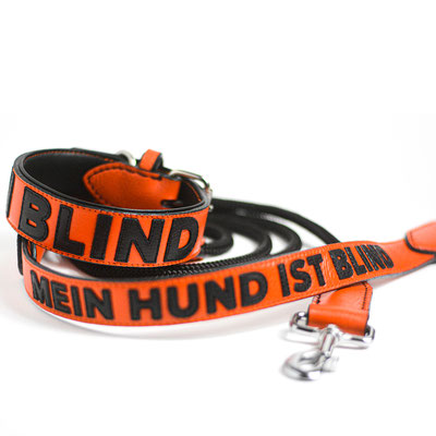 Set aus personalisiertem Halsband und Leine in Orange mit Schwarz mit dem Text: Mein Hund ist blind