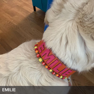 Personalisiertes Hundehalsband in Orange mit Pink für Emilie