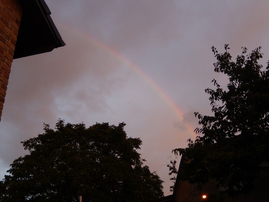 夕焼けと虹 | Sunset and rainbow